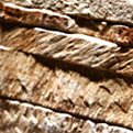 Keramické obklady Olimpia Ocre